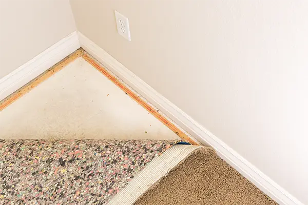 Carpet Fitters